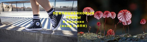 PSILOCYBIN Алексин