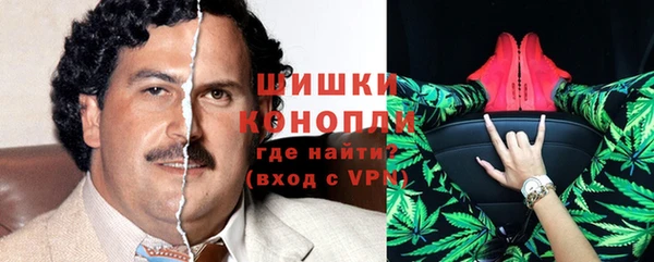 прущие грибы Алзамай